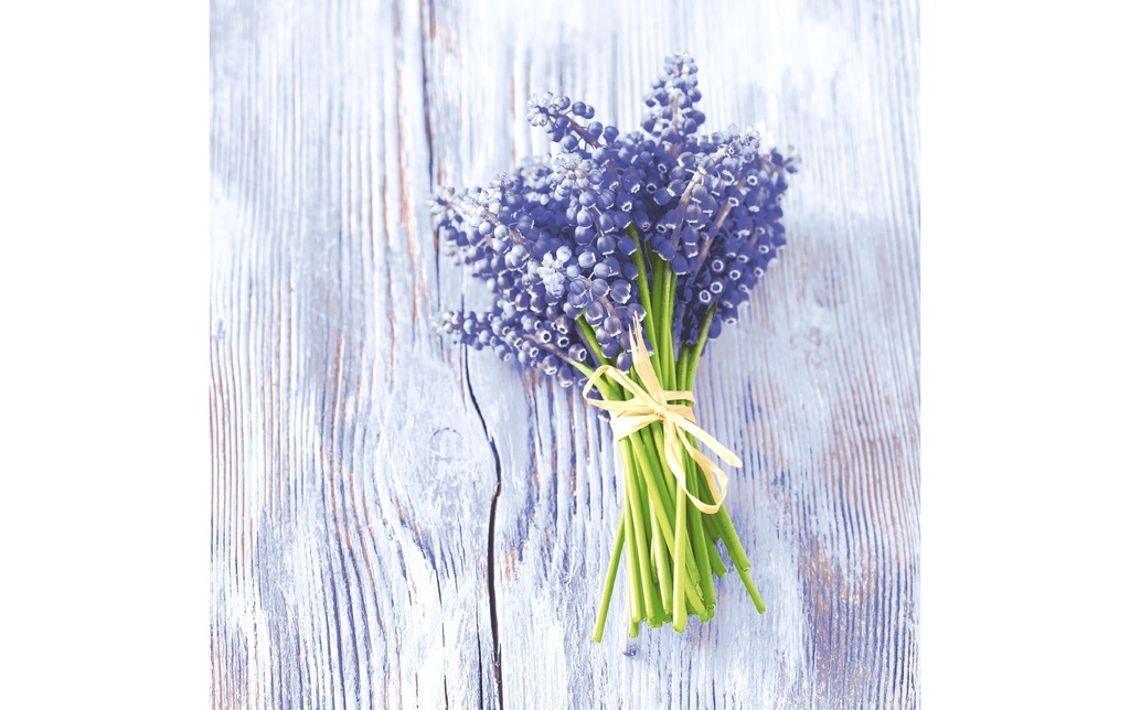 Paper + Design Serviettes en papier Muscari bundle 33 cm x 33 cm, 20 Pièce/s