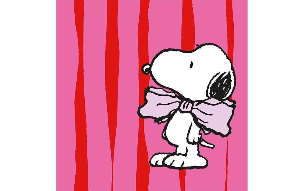 Braun + Company Snoopy rose 20 Pièce/s