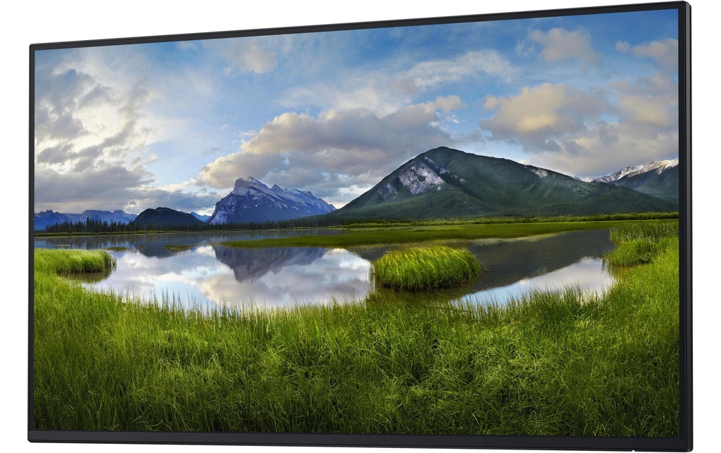 Dell Moniteur P2725H WOST sans pied