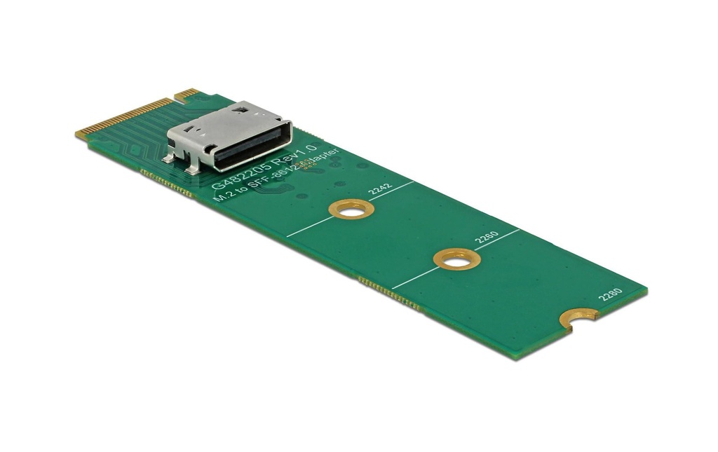 Delock Convertisseur M.2 Key-M – OCuLink SFF-8612