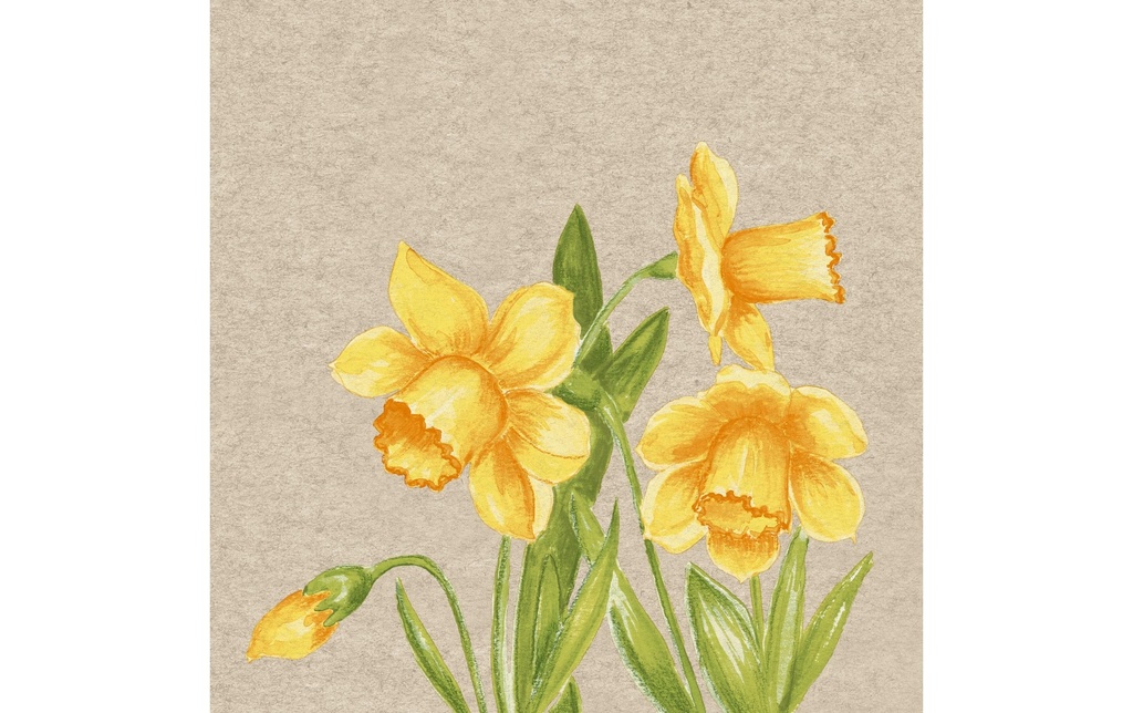 Paper + Design Serviettes en papier Daffodil 33 cm x 33 cm, 25 Pièce/s