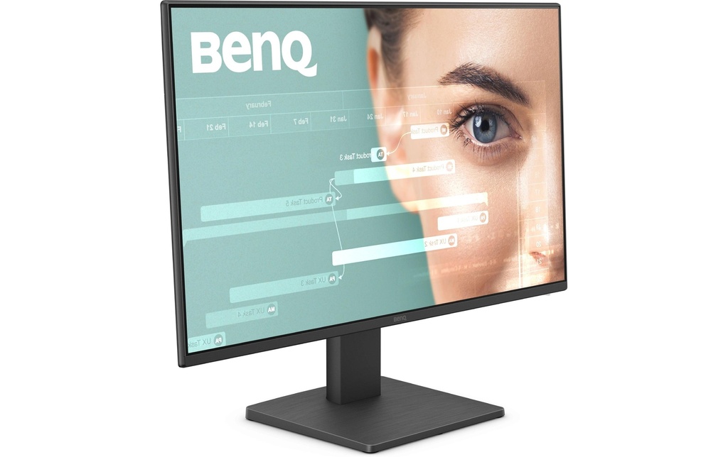 BenQ Moniteur GW2491 23.8 , 1920 x 1080 (Full HD)