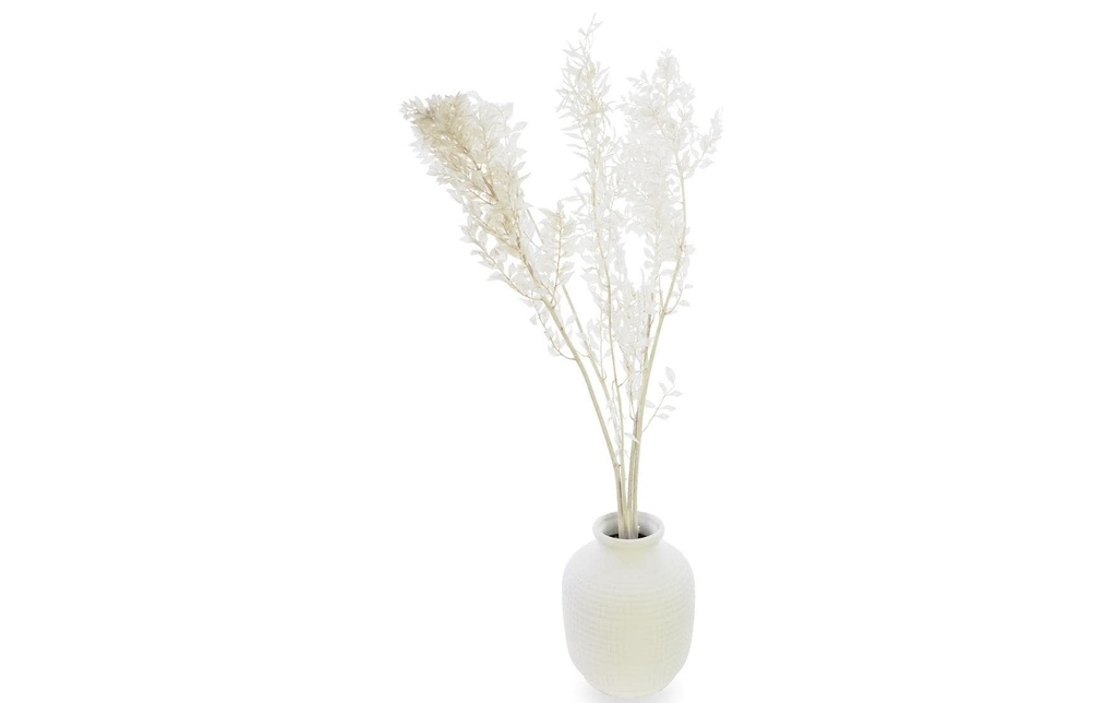 Soli Collection Fleurs séchées Ruscus 70-75 cm, blanc