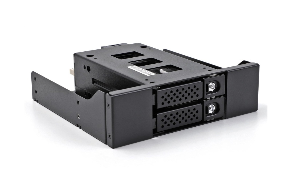 Delock Rack amovible U.2 NVMe 2.5