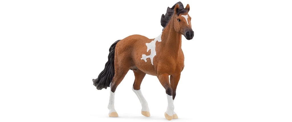 Schleich Figurine de jeu Horse Club Mangalarga Marchador Étalon