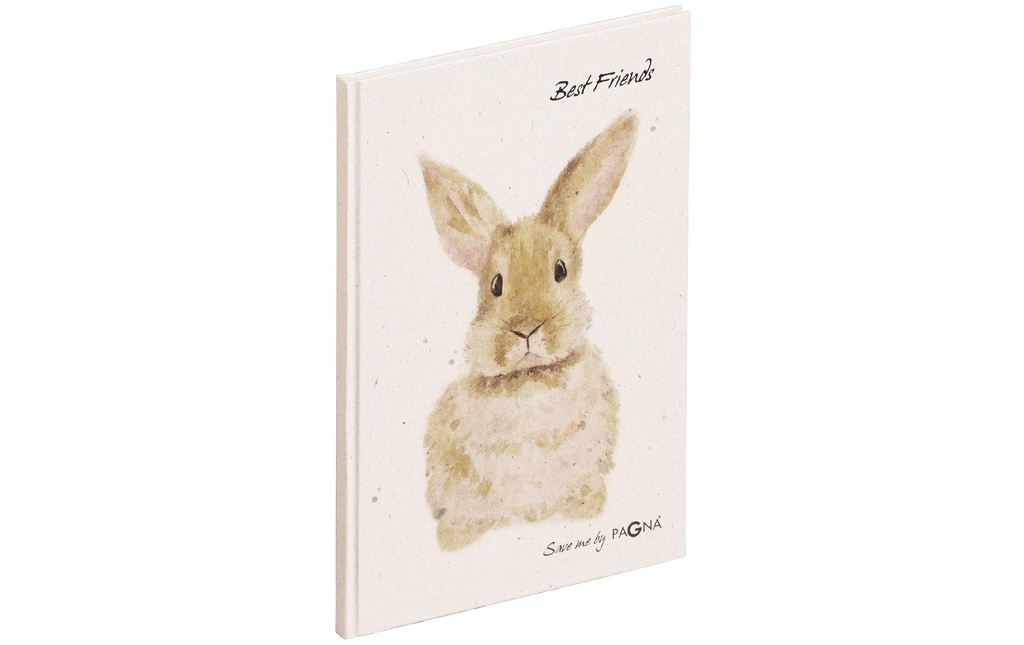 PAGNA Livre d'amis Lapin (60 pces)