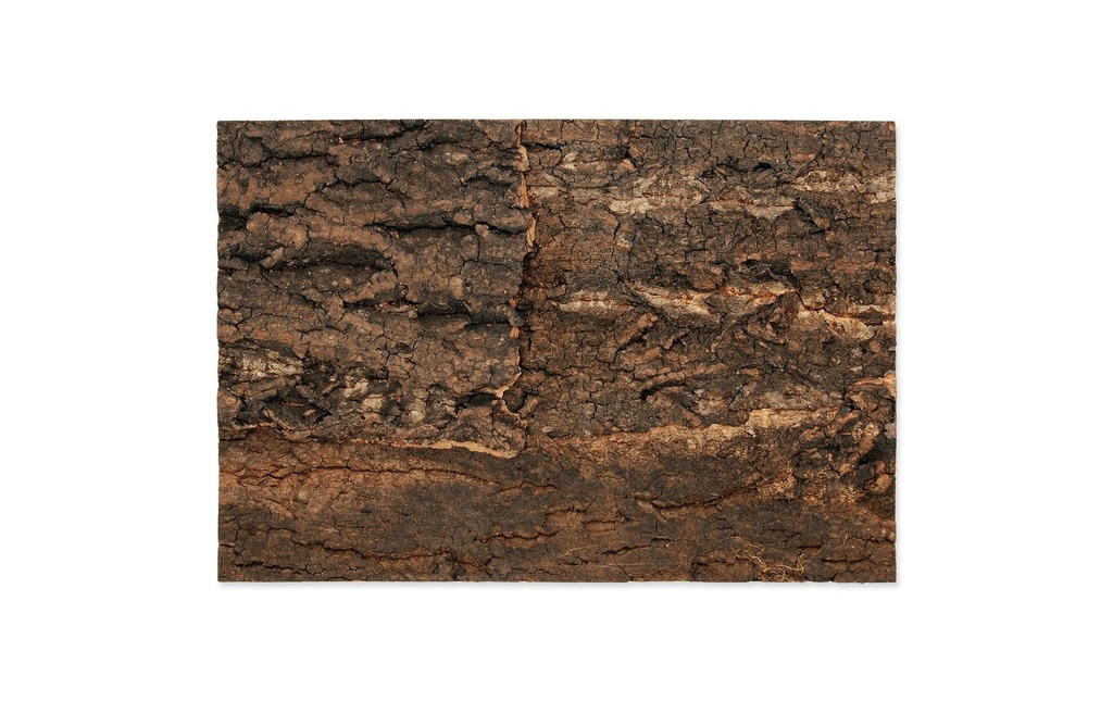 Repti Planet Paroi arrière en liège 28.5 x 41 x 2 cm