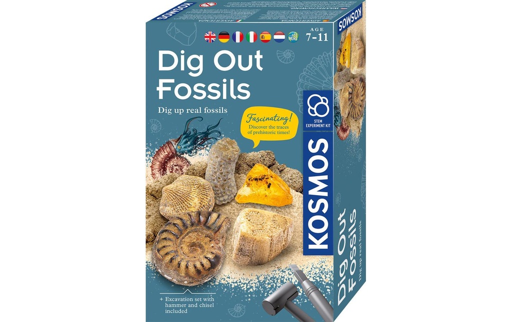 Kosmos Boîtes d’expérimentation Fossiles INT