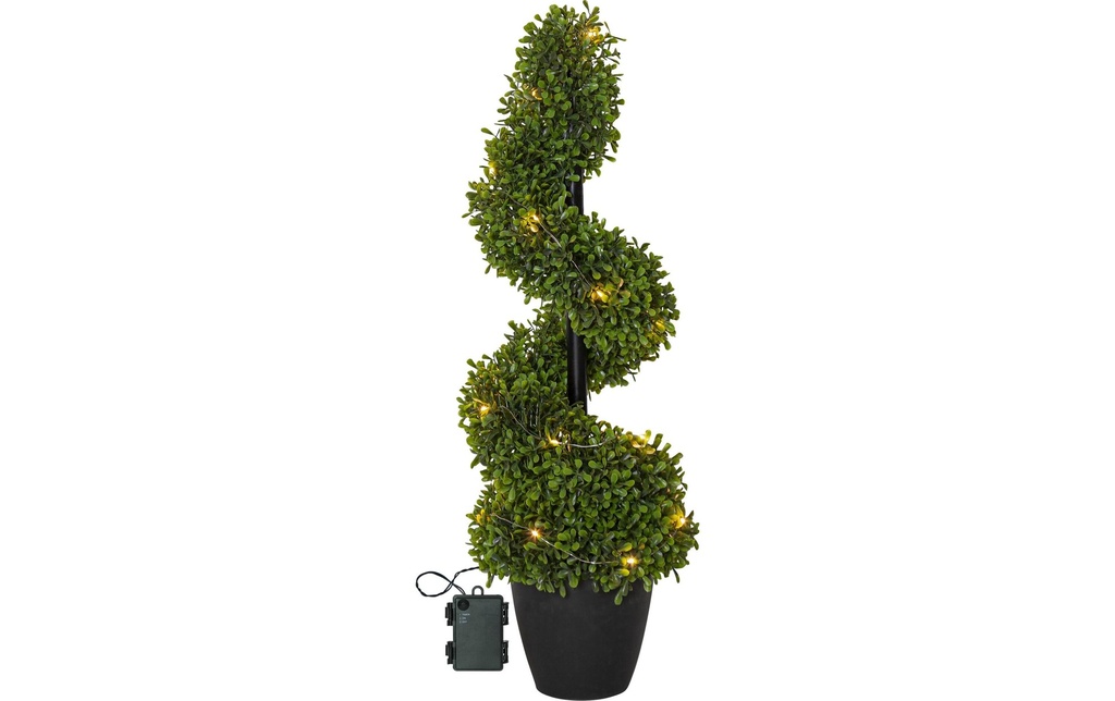 Star Trading Arbre Buxbom, 0.65 m, Vert, 20 LED