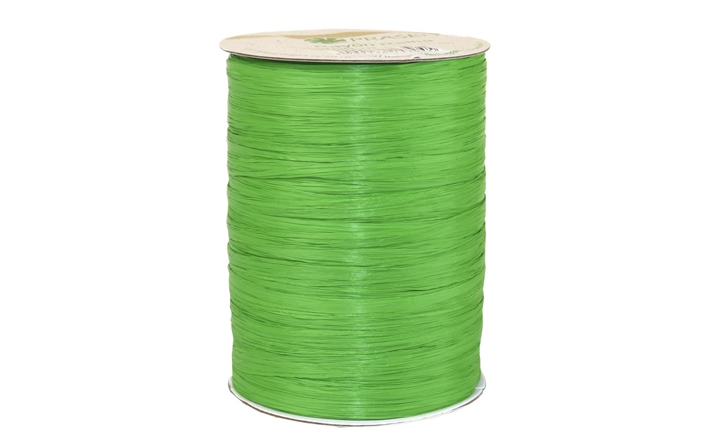 Pattberg Ruban cadeau Raffia Rayon 100 m, Vert pomme