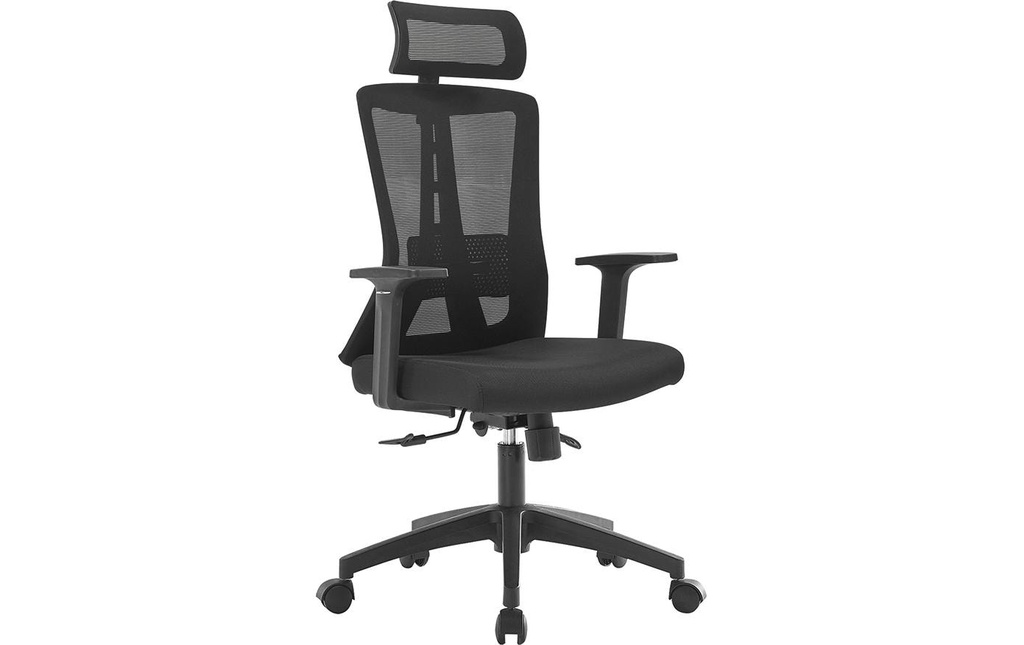 Contini Chaise de bureau ErgoFlex Noir