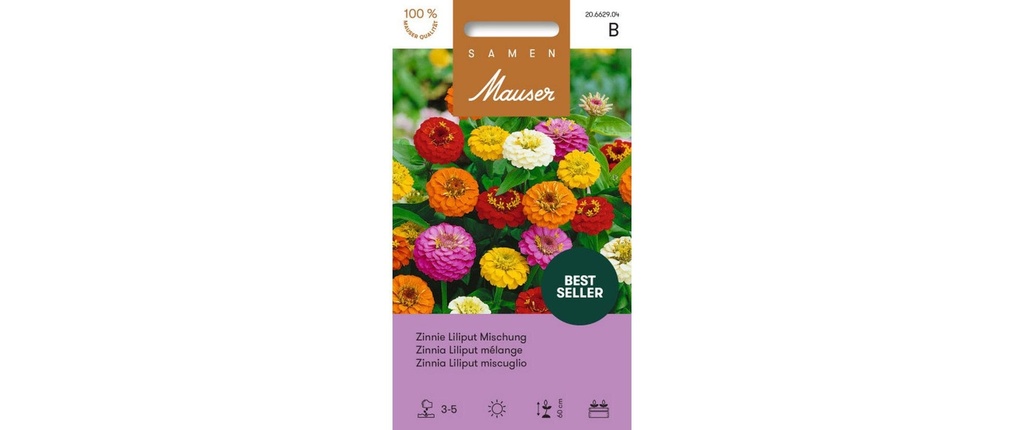 Samen Mauser Semence Zinnie Liliput mélange