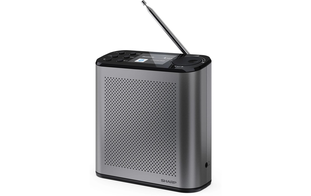 Sharp Radio DAB+ DR-P530 Gris