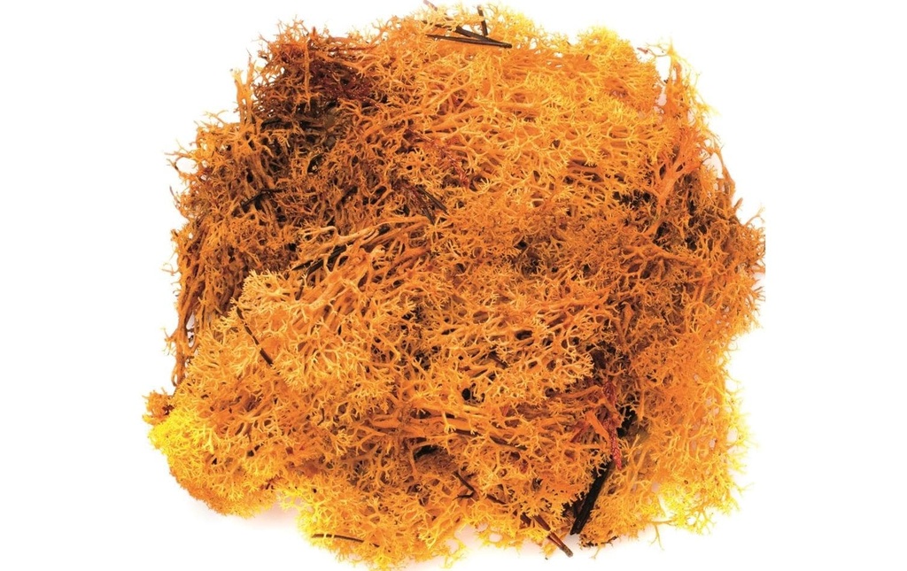 Glorex Mousse Island Orange