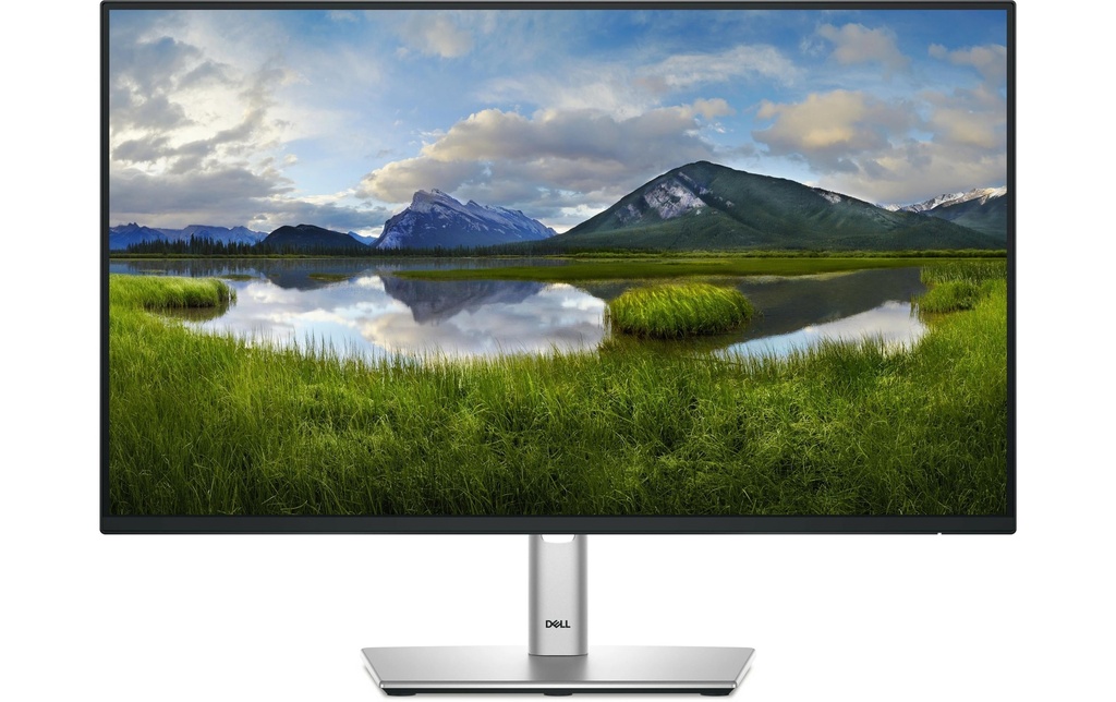 Dell Moniteur P2425H 23.8 , 1920 x 1080 (Full HD)