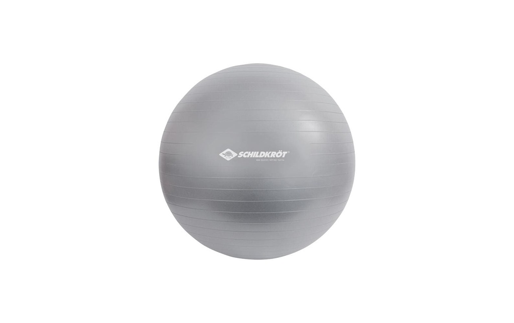 Schildkröt Fitness Ballon de gymnastique 65 cm