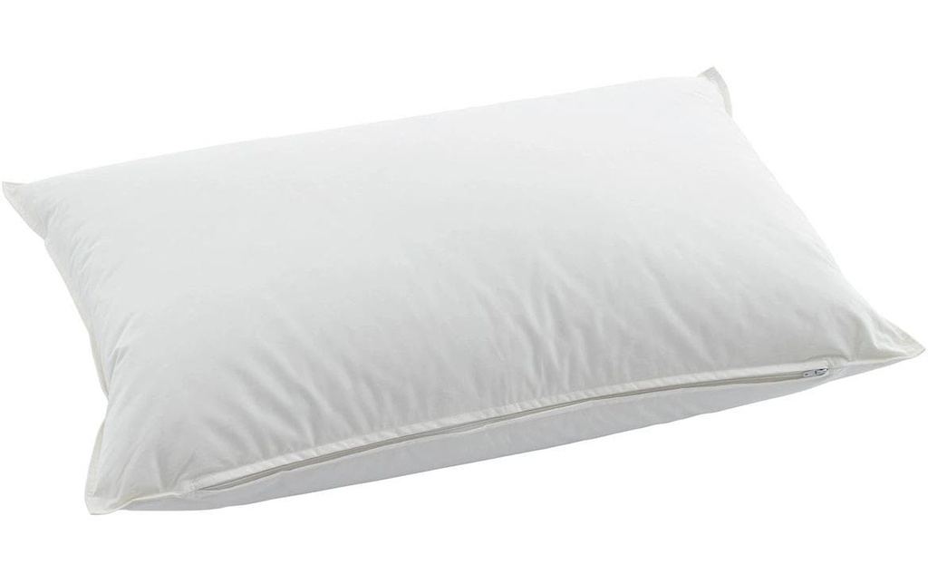 Billerbeck Oreiller classique Piuma Pillow Classic 90 50 x 70 cm