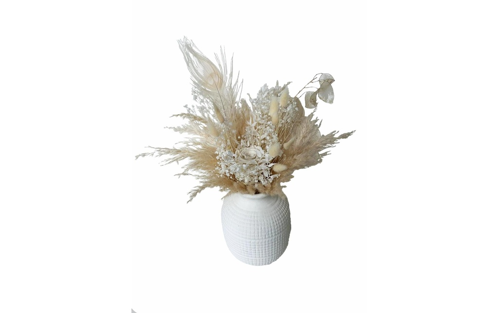 Soli Collection Fleurs séchées Michaela Blanc-jaune/marron