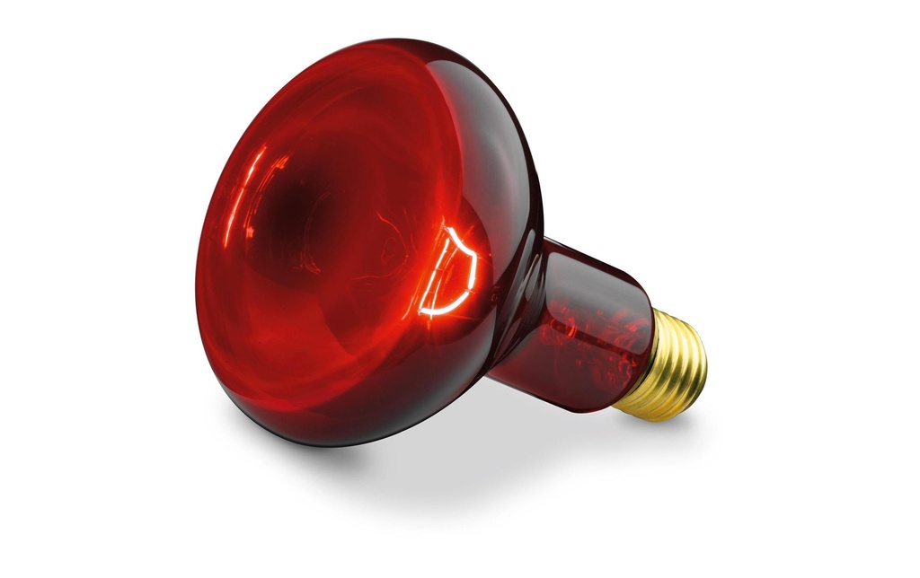 Beurer Lampe à infrarouges IL 11 Lampes de rechange
