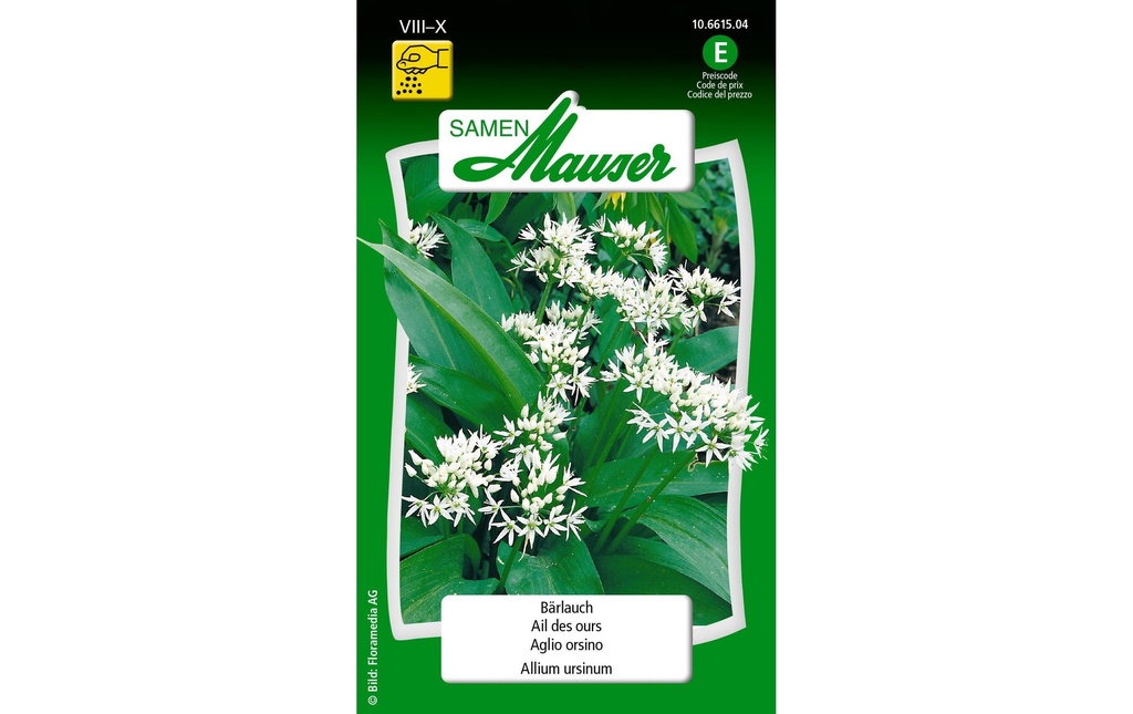 Samen Mauser Semence Ail des ours Graines de plantes Blanc