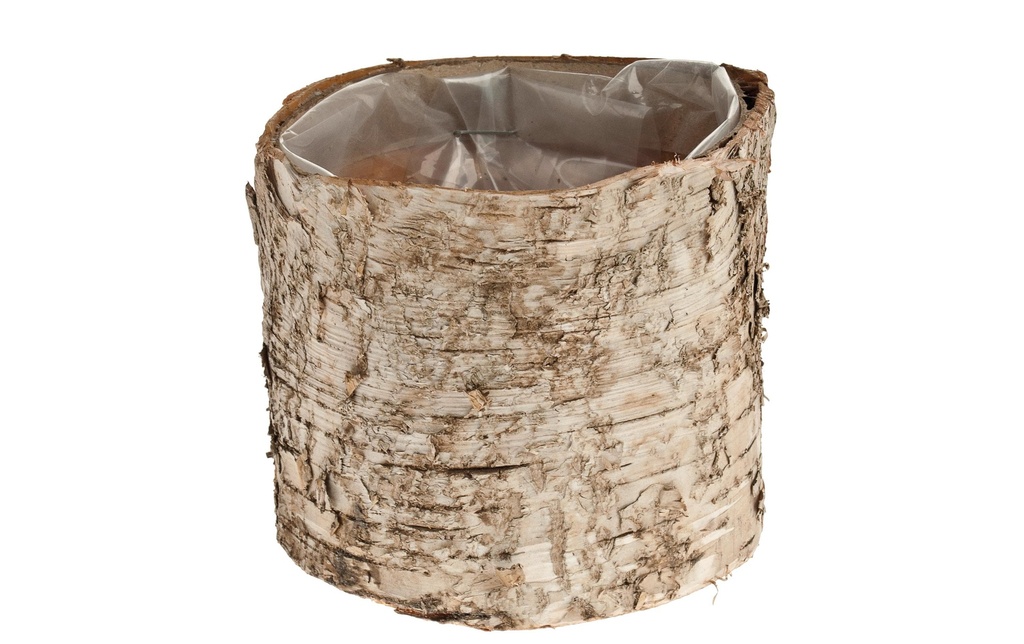 Opiflor Pot de bouleau Crusty, 10 cm Nature