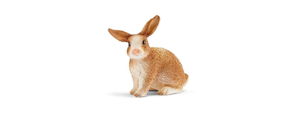 Schleich Figurine de jeu Farm World Lapin