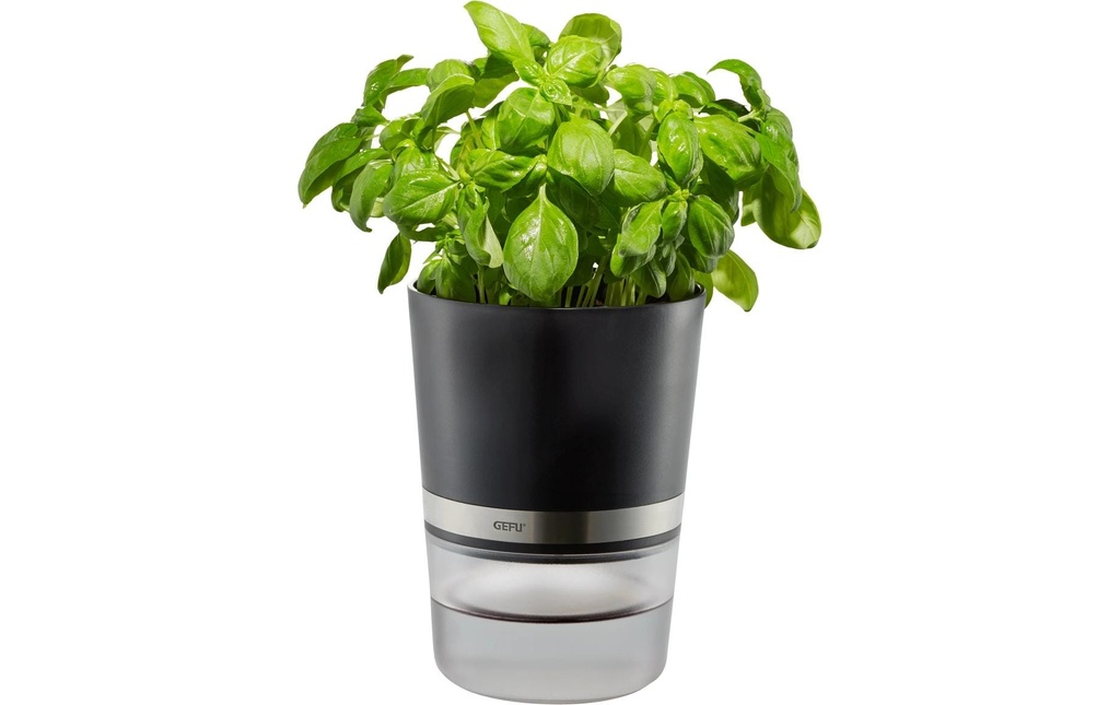 GEFU Pot à herbes aromatiques Botanico Transparent/Noir/Argenté