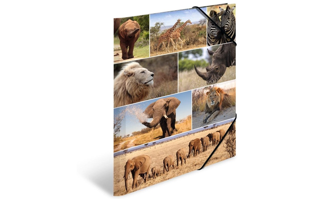 HERMA Portfolio à ruban élastique A3 Afrique, carton, avec impression intérieure