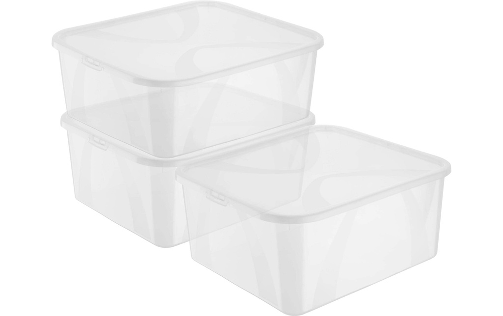 Rotho Boîte de rangement ARCO Transparent, 3 pcs.