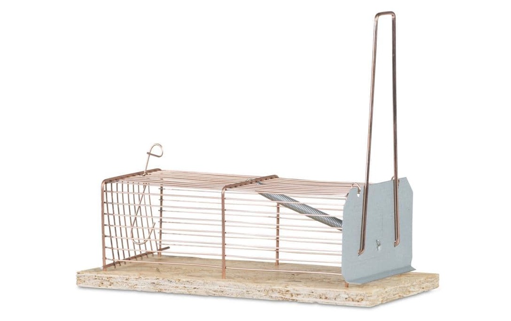 Windhager Dispositif anti-souris Boîte à fil