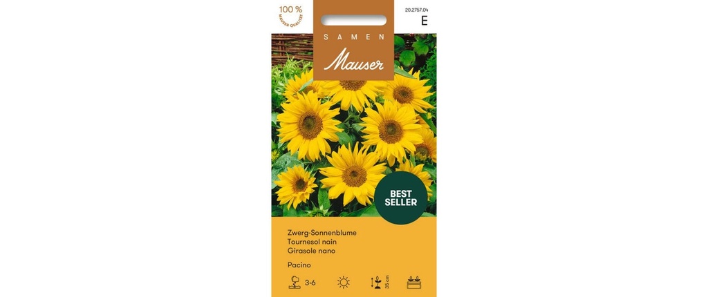 Samen Mauser Semence Pacino de tournesol nain