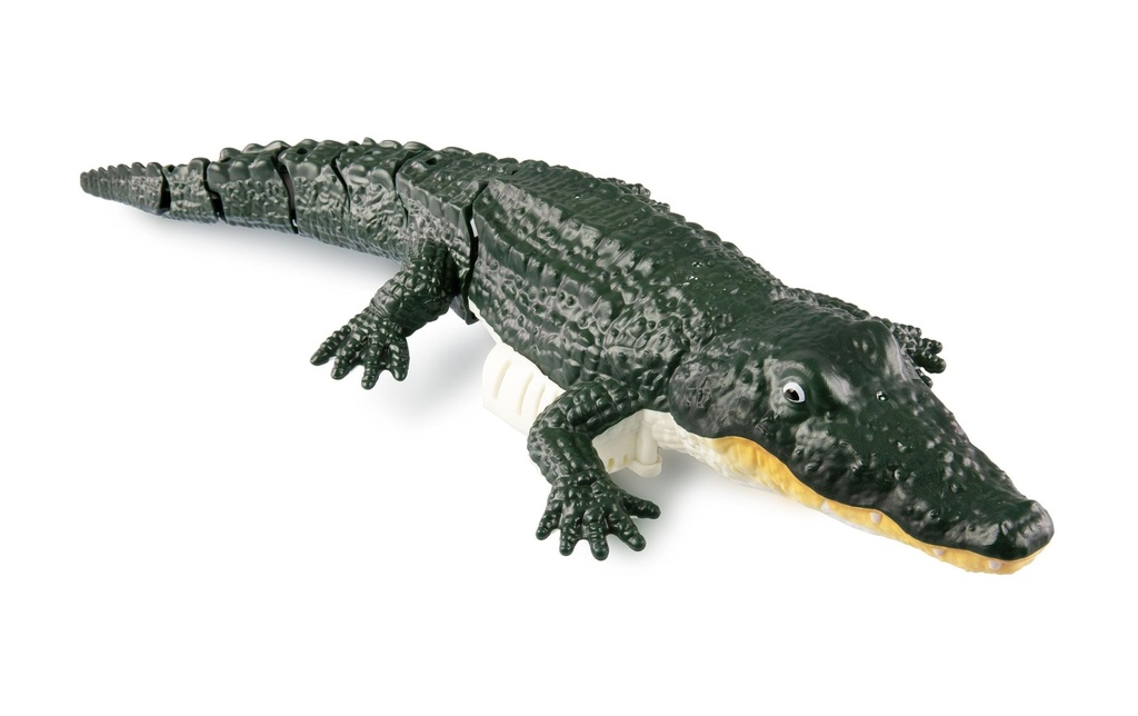 Amewi Croco le petit crocodile 370 mm, 4 canaux, RTR