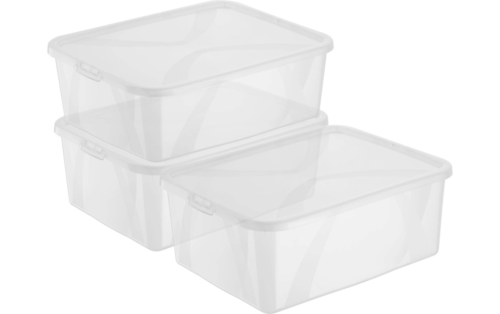 Rotho Boîte de rangement ARCO Transparent, 3 pcs.