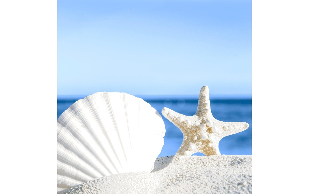 Paper + Design Serviettes en papier Shells by the sea 33 cm x 33 cm, 20 Pièce/s