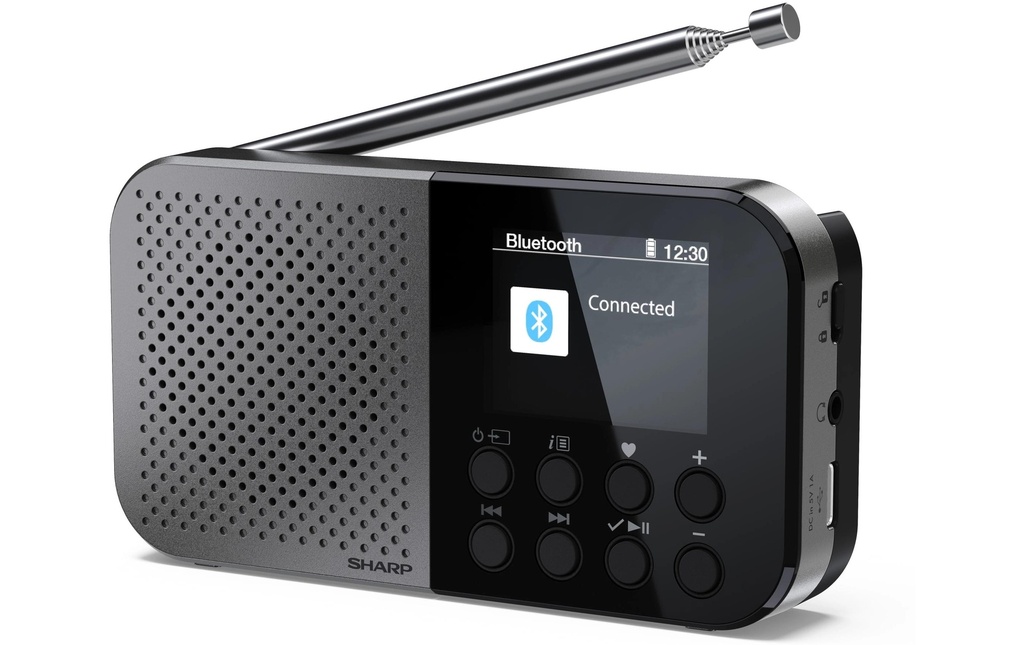 Sharp Radio DAB+ DR-P520 Gris