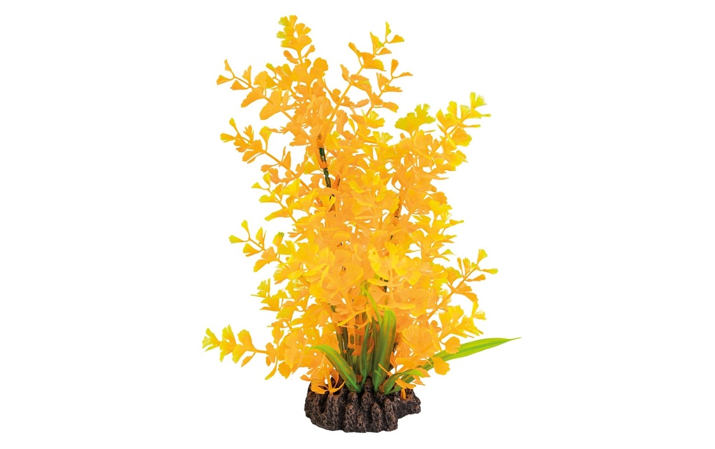 SuperFish Plante artificielle Ludwigia orange, 25 cm