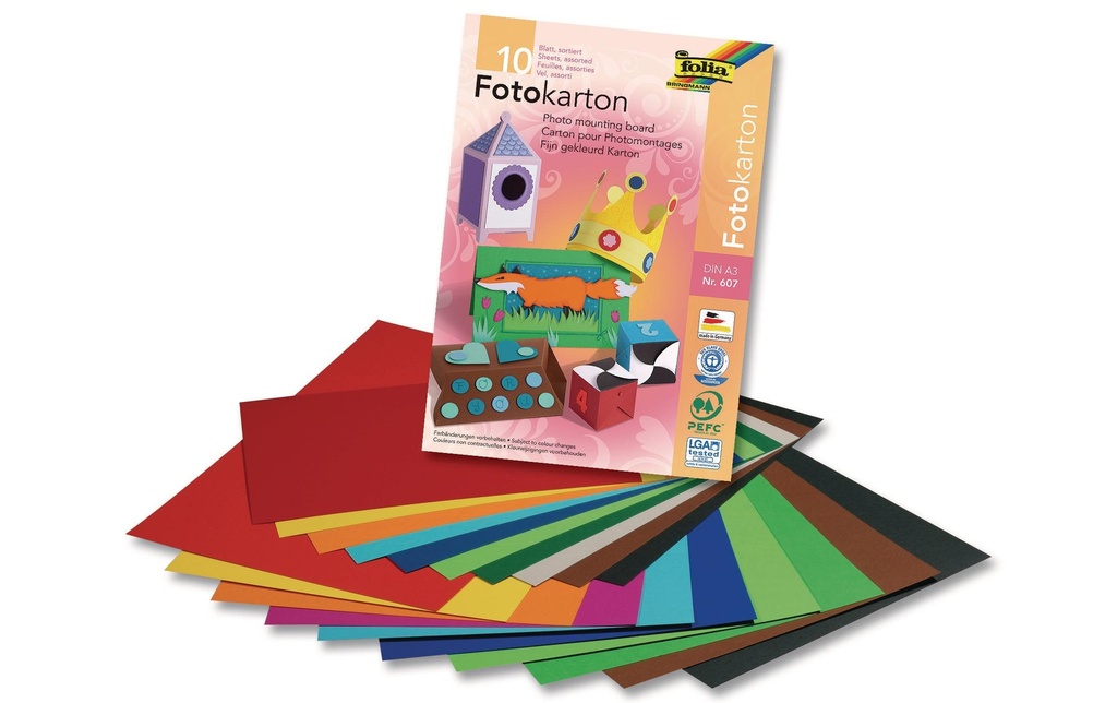 FOLIA bloc carton photo A3 10 flls (10 pces)