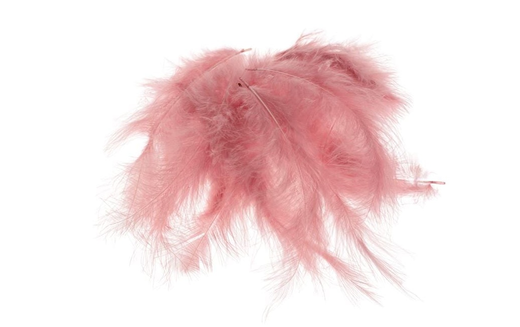 Opiflor Plumes de marabout 45g, vieux rose