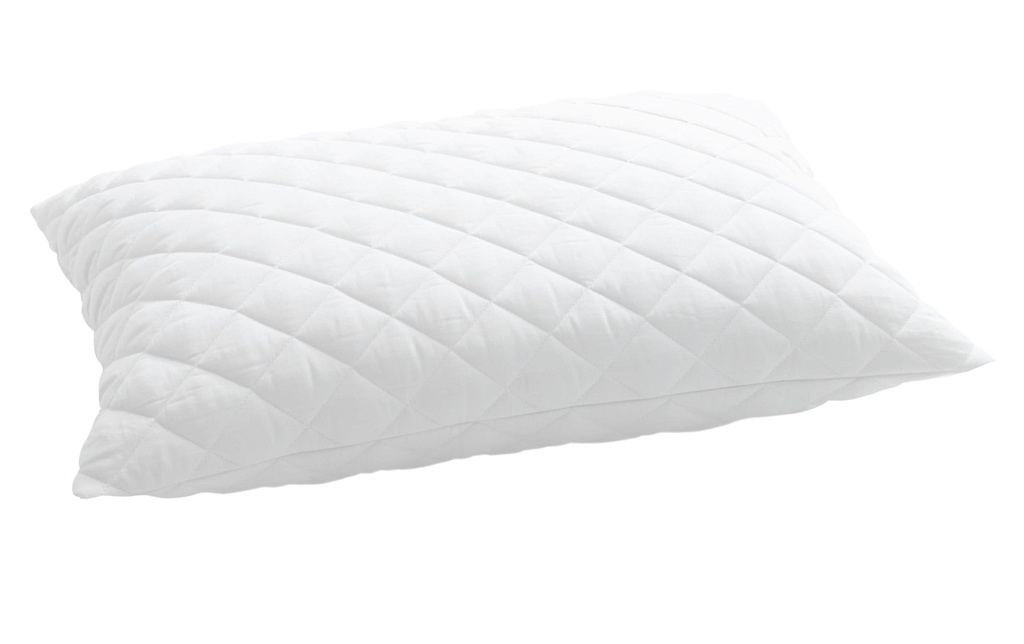 Billerbeck Oreiller classique Verano Silk 65 x 100 cm
