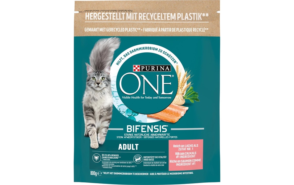Purina ONE Alimentation sèche Adulte Saumon et farine complète, 800 g