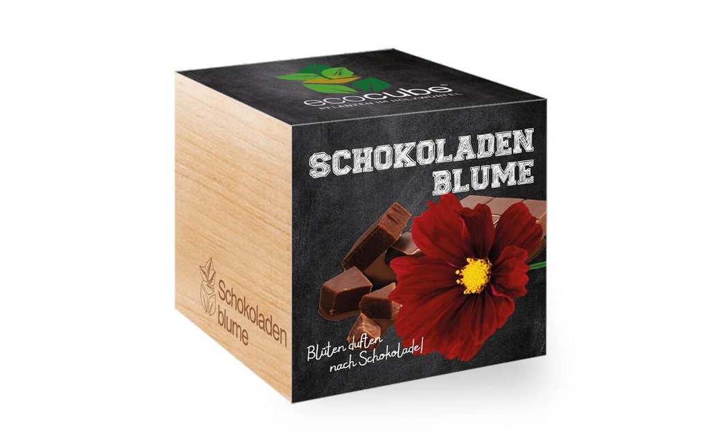 Feel Green Ecocube Fleur de chocolat