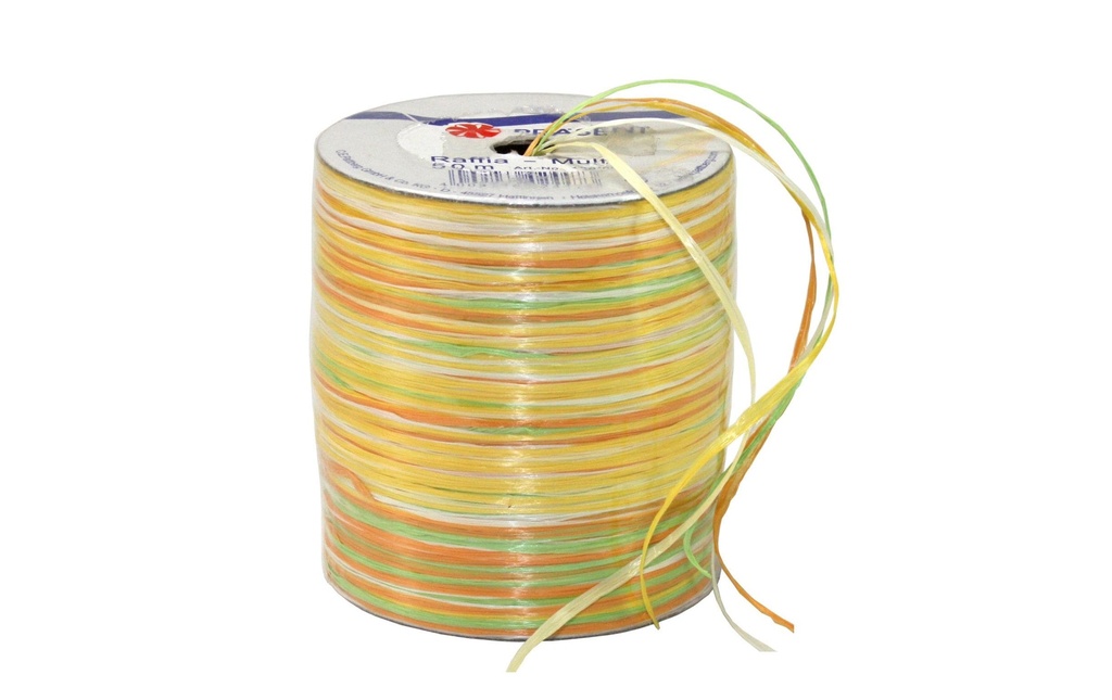 PRÄSENT Ruban cadeau MULTI-RAFFIA (50 pces)