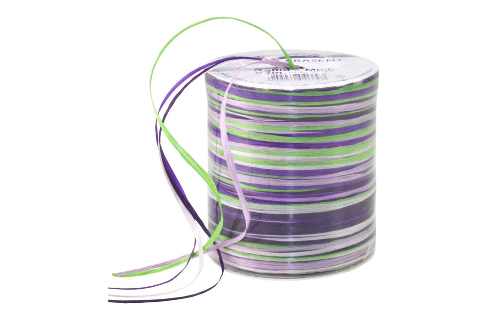 PRÄSENT Ruban cadeau MULTI-RAFFIA (50 pces)