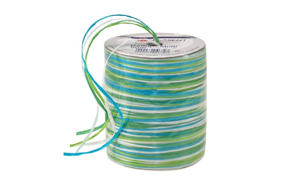 PRÄSENT Ruban cadeau MULTI-RAFFIA (50 pces)
