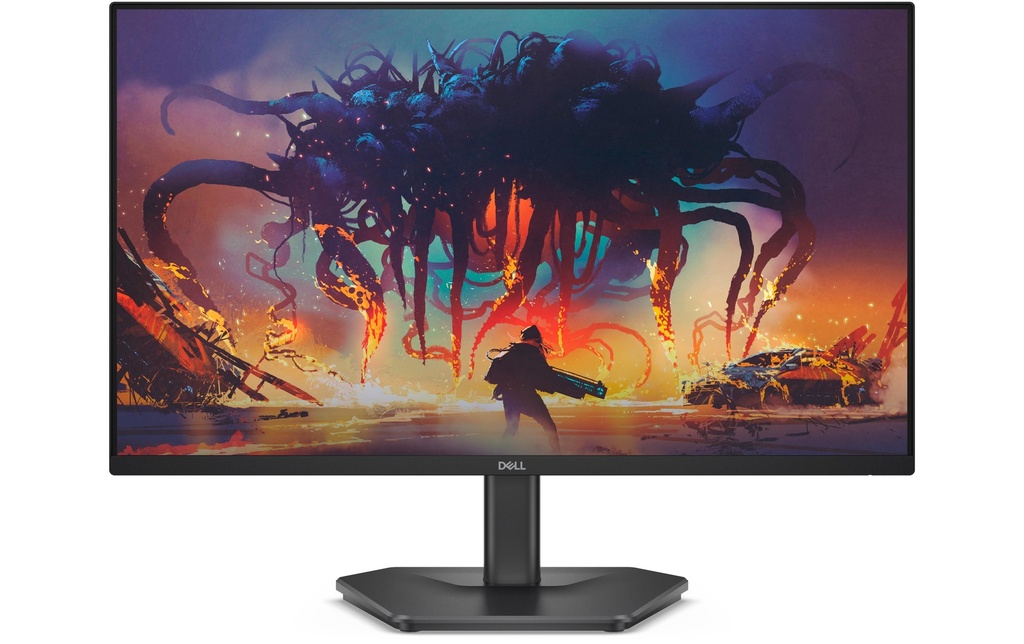 Dell Moniteur SE2425HG