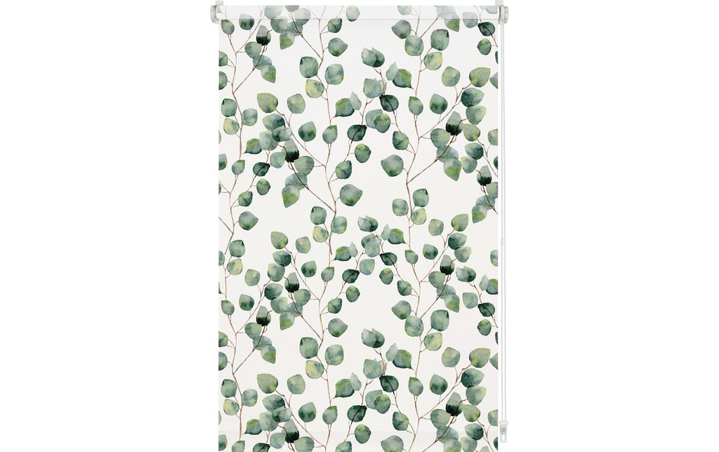 Gardinia Store à enroulement EF Isabella 80 x 150 cm, Vert/Blanc