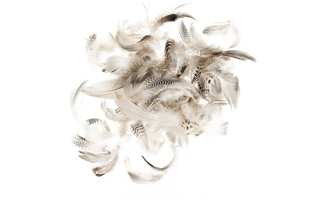 Glorex Plumes Coqs 5-12 cm, 10g, brun