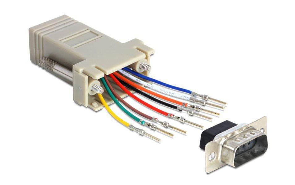 Delock Adaptateur RJ-45 - RS-232 DB9 (f-m) 0 m