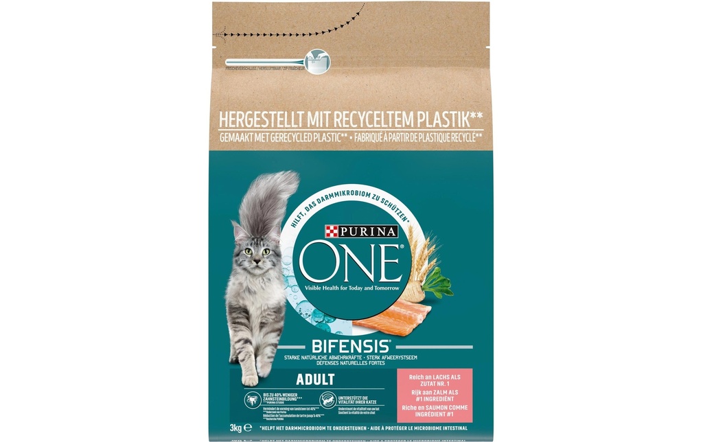 Purina ONE Alimentation sèche Adulte Saumon et farine complète, 3 kg