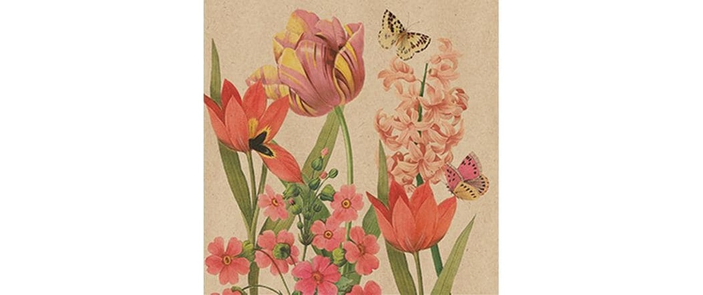 Braun + Company Serviettes en papier Charlotte 33 cm x 33 cm, 20 Pièce/s